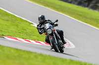 Oulton-Park-21st-March-2020;PJ-Motorsport-Photography-2020;anglesey;brands-hatch;cadwell-park;croft;donington-park;enduro-digital-images;event-digital-images;eventdigitalimages;mallory;no-limits;oulton-park;peter-wileman-photography;racing-digital-images;silverstone;snetterton;trackday-digital-images;trackday-photos;vmcc-banbury-run;welsh-2-day-enduro